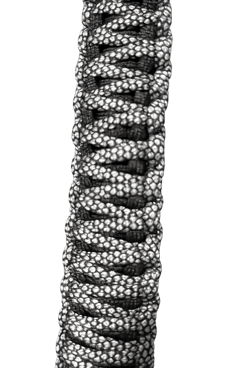 Light Taktikal Paracord Strap and Box Combo